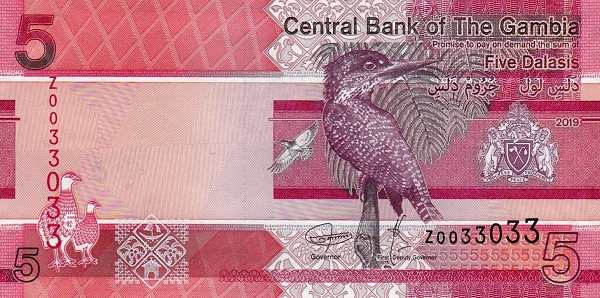 5 даласи