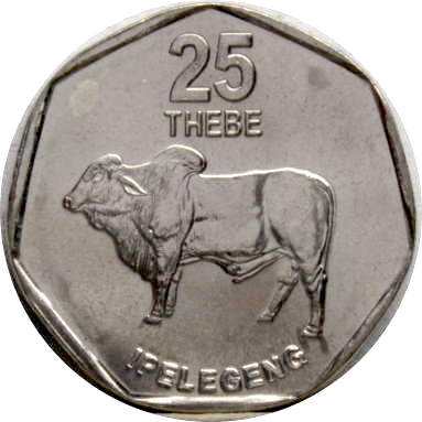 25 тебе 1999 г.